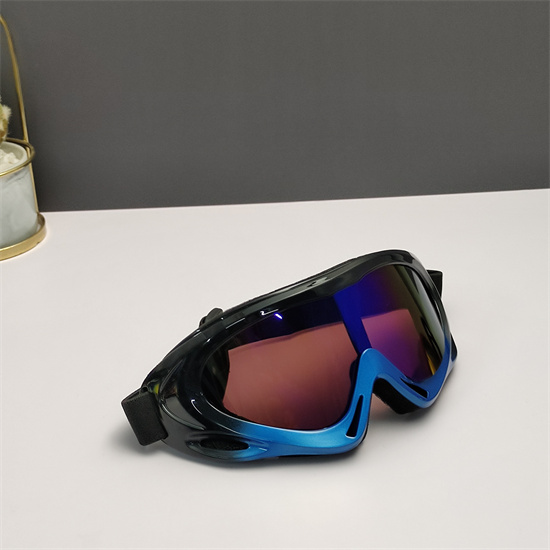 Oakley Ski Goggles 024